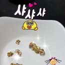 봄날치과기공소 이미지