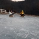 봉양농장2 이미지