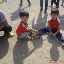 동탄꿈의 유치원 이미지