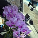 둥지농장 이미지