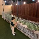 시온 ZION 이미지