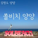 까도남 - 포항시 남구 | 쏠비치 양양 호텔 프라이빗 비치가 아름다운 쏠비치 양양 이그제큐티브 스탠다드 패밀리 트윈 객실 후기