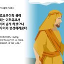 창세기26장(첫흉년, 이삭그랄에거주, 이삭이리브가를 누이라 속임, 우물다툼) 이미지