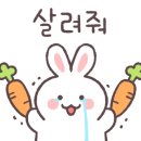 바르체바른체형운동