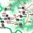 주왕산약국 이미지