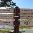 초막골생태공원 캠핑장 이미지