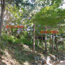 봉산면사무소 이미지