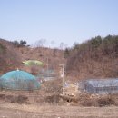 홀로세농장 네이버블로그