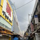 신사2-035 | 도쿄 3일차 우에노 공원 / 스시로 우에노 / 게이세이우에노에서 나리타공항 스카이라이너 / 야마시로야...