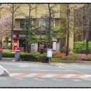 침산초등 이미지