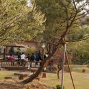 평사리가는길 이미지