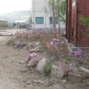 동면 게이트볼장 이미지