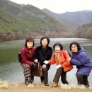 2007년 성탄 축하 여행 - 겨울 청송 주산지, 부산 달맞이 고개 이미지
