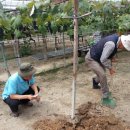 강성구농장 이미지