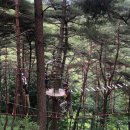 구재봉자연휴양림 이미지