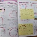 신안초 이미지