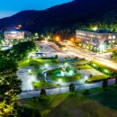 충남대학교 국가정책대학원 이미지