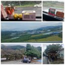 10/18(토)정기산행&#34;화왕산&#34;은빛 억새의 향연으로~(바다대장) 이미지