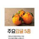 제이티마트