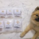 하누까까 이미지