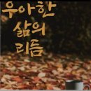 돈오야 - 강서구 강서로 55 | 돈오야