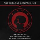 박창남댄스스포츠 이미지