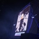 다수곡 | 원더리벳에 단 한명을 보러 간 사람이 있다고요? 그래. [2025 WONDERLIVET 11/15 후기]