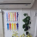 도곡1동 주민센터 | 강남구 맨발체형교정센터 도곡 체형교정 후기·가격·주차