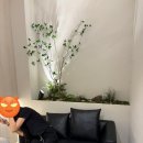 카페봄봄서 | 카페봄봄 컵빙수 여름에 생각나는 디저트! 카페봄봄서울삼성선정릉점 후기