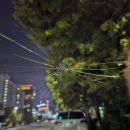 자동차 앞유리 돌빵(스톤칩) 글로벌자동차유리 강서점 이용후기, 무과실 자차보험 할인유예