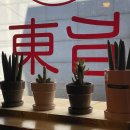 지동닭갈비 이미지