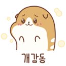 엠에스카오디오 이미지