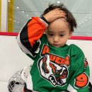 닥터지의원 | 나의 팔다리를 위하여