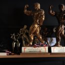 더 킹스짐 이미지