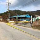 로로포레 이미지