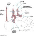 새롬한의원 네이버블로그