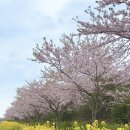 가시리농촌체험휴양마을 이미지