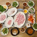 산꼼장어 이미지