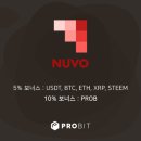 누보 nuvo 이미지