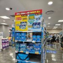 플레스게임 이미지