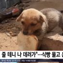 온:식빵
