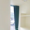 브로콜리 펫푸드 이미지