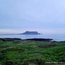 휘닉스 제주 섭지코지 | [제주 성산애월 4박5일] 섭지코지 일출보고 휘닉스 조식 후기, 스벅 제주 한정