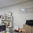 원one부동산공인중개사사무소 이미지