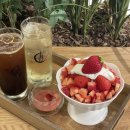 신스포레스트 | 서울숲 카페 포레스트 성수, 망고빙수가 유명한 성수디저트카페 후기