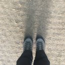 학고개육교밑 | 청광 종주(청계산~광교산 종주) 가이드라인 - 백두대간을 위한 체력 훈련