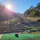 미곡농장 이미지