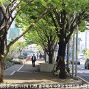 해안길 | [부산] 광안리,이기대해안길 트래킹후기---2026년 4월 18일(토)