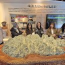 아름다운관광여행사