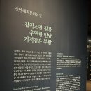 국립광주박물관 | 신안 앞바다 유물이 전시되어 있는 국립광주박물관 방문후기